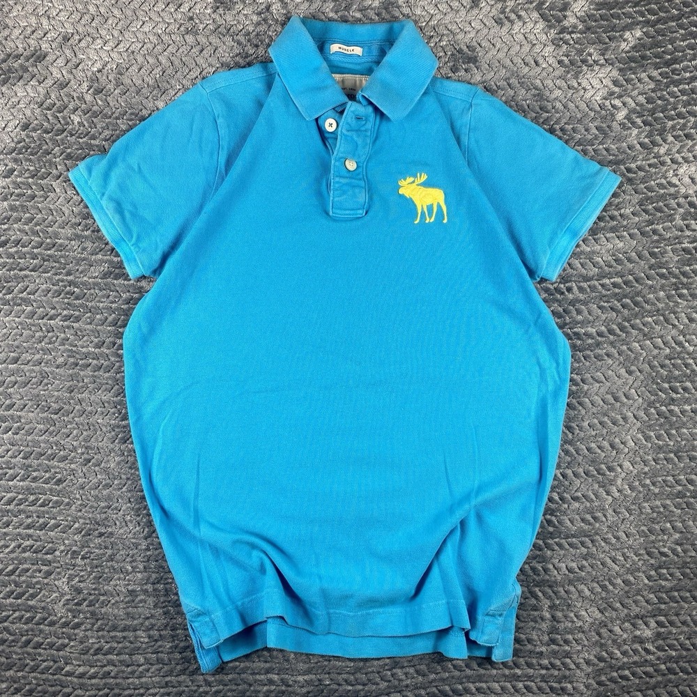 Abercrombie & Fitch Polo Shirt Teal Muscle Fit Mens L Big Moose Vintage Y2K